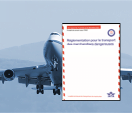 Visuel Formation IATA